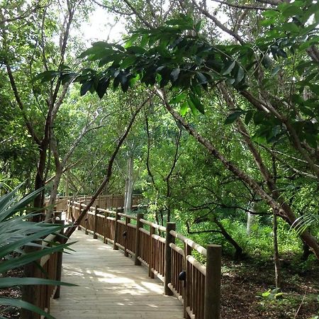 Mayan Palace Vidanta Resort Riviera Maya Пуэрто-Морелос Экстерьер фото